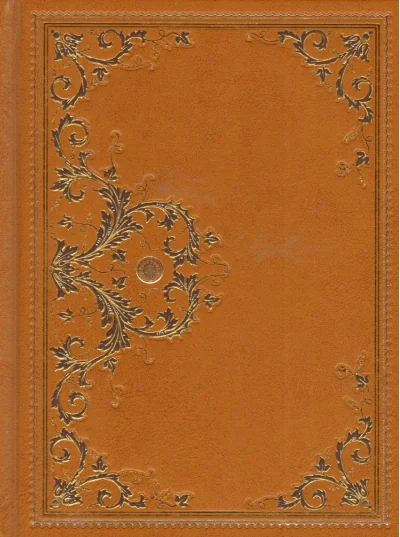 Обложка книги «Золотой Браслет. Охотники на медведей»
