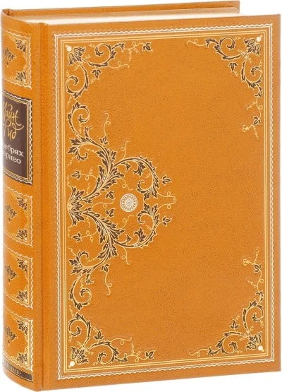 Обложка книги «В дебрях Борнео. Переселенцы Трансвааля»