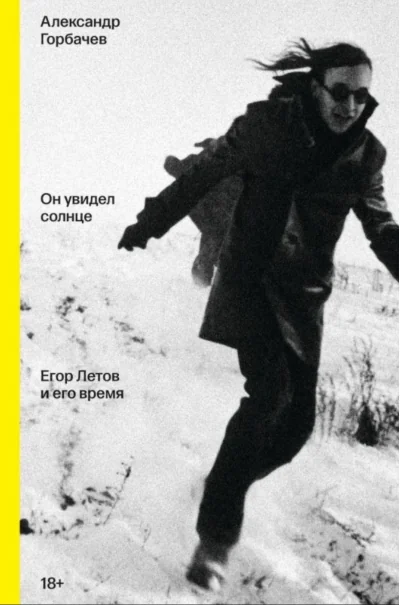 Обложка книги «Он увидел солнце. Егор Летов и его время»