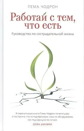 Обложка книги «Работай с тем, что есть. Руководство по сострадательной жизни»
