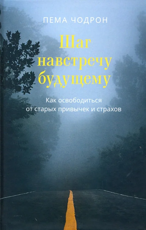 Обложка книги «Шаг навстречу будущему. Как освободиться от старых привычек»