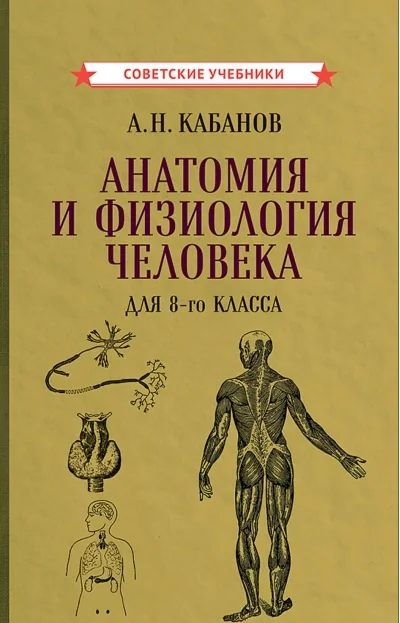 Обложка книги «Анатомия и физиология человека для 8-го класса»