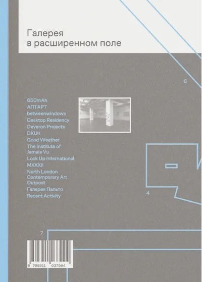 Обложка книги «Галерея в расширенном поле / The Gallery in the Expanded Field»