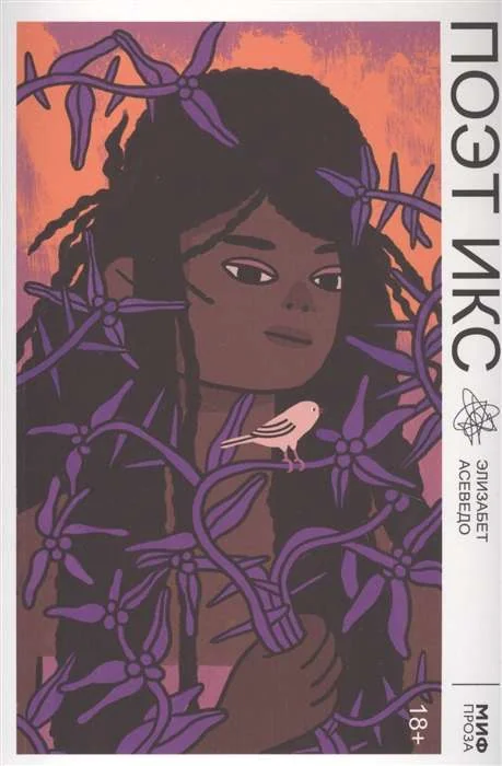 Обложка книги «Поэт Икс»