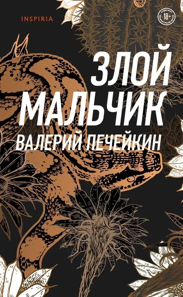 Обложка книги «Злой мальчик»