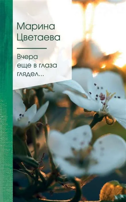 Обложка книги «Вчера еще в глаза глядел…»