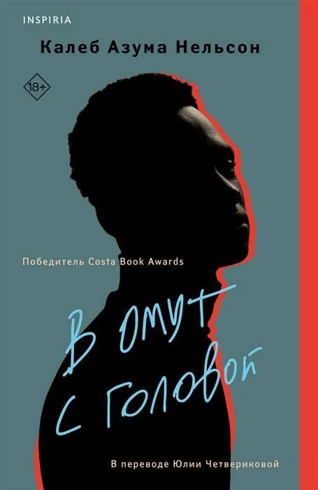 Обложка книги «В омут с головой»