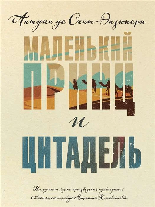 Обложка книги «Маленький принц и Цитадель»