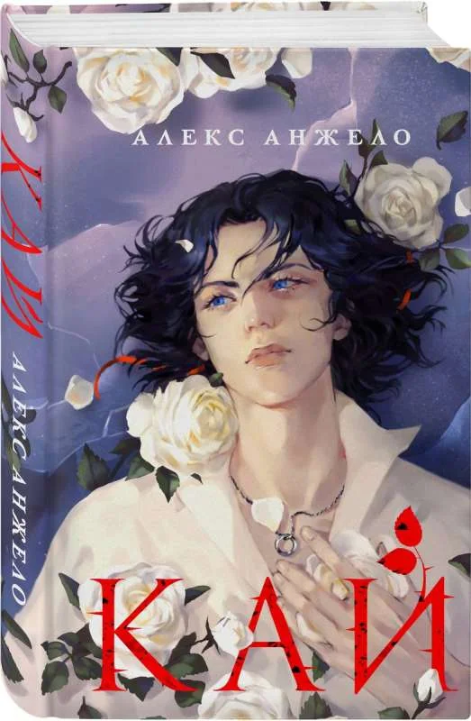Обложка книги «Кай»