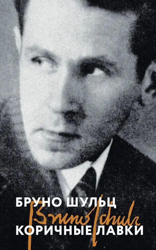 Обложка книги «КОРИЧНЫЕ ЛАВКИ»