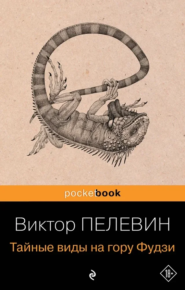 Обложка книги «Тайные виды на гору Фудзи»