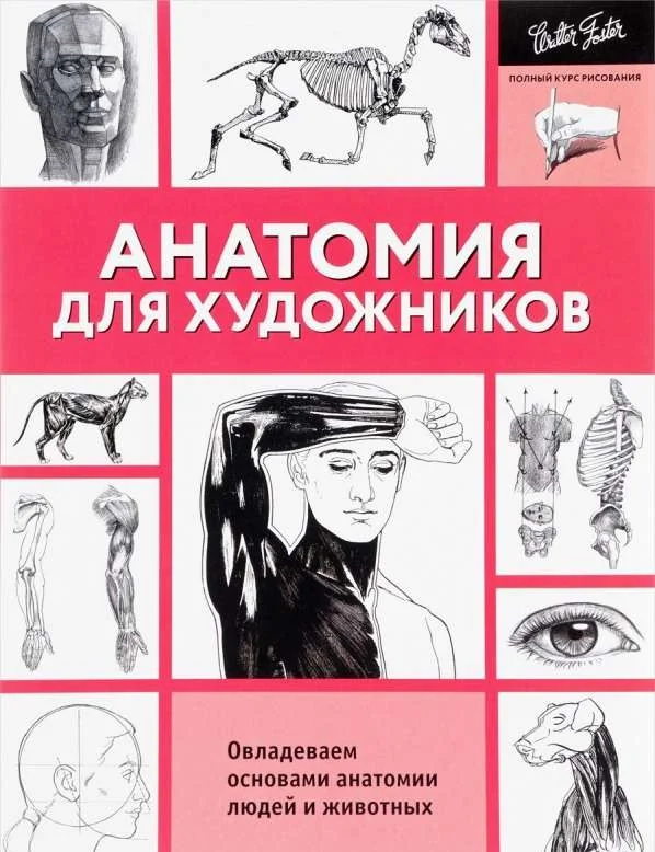 Обложка книги «Анатомия для художников»