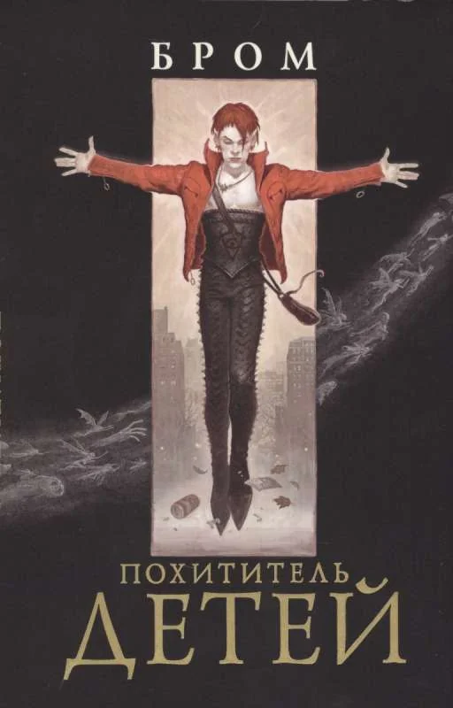 Обложка книги «Похититель детей»