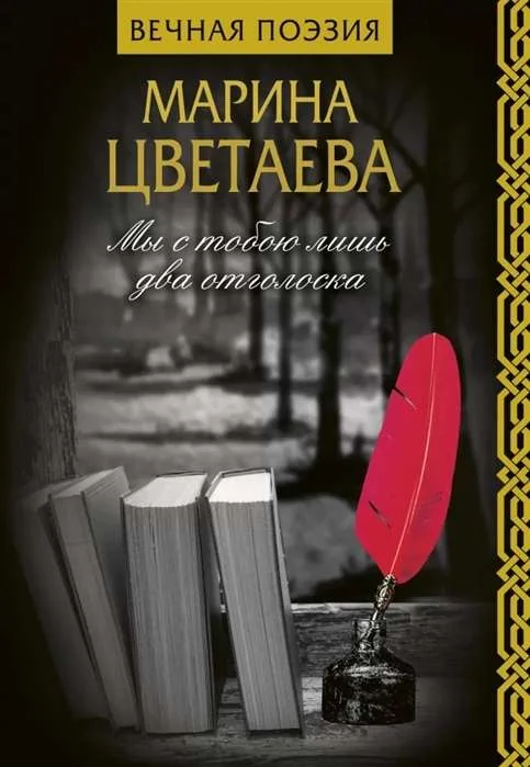 Обложка книги «Мы с тобою лишь два отголоска»