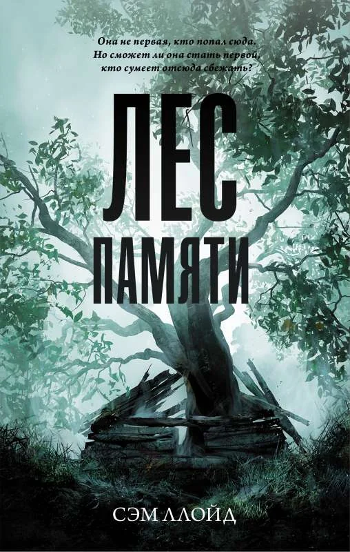 Обложка книги «Лес Памяти»