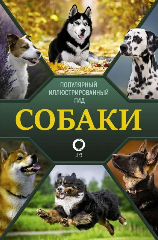 Обложка книги «Собаки. Популярный иллюстрированный гид»