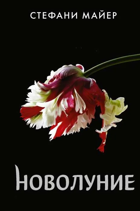 Обложка книги «Новолуние»