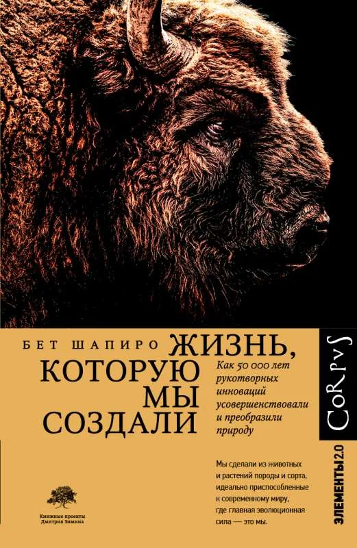Обложка книги «Жизнь, которую мы создали»