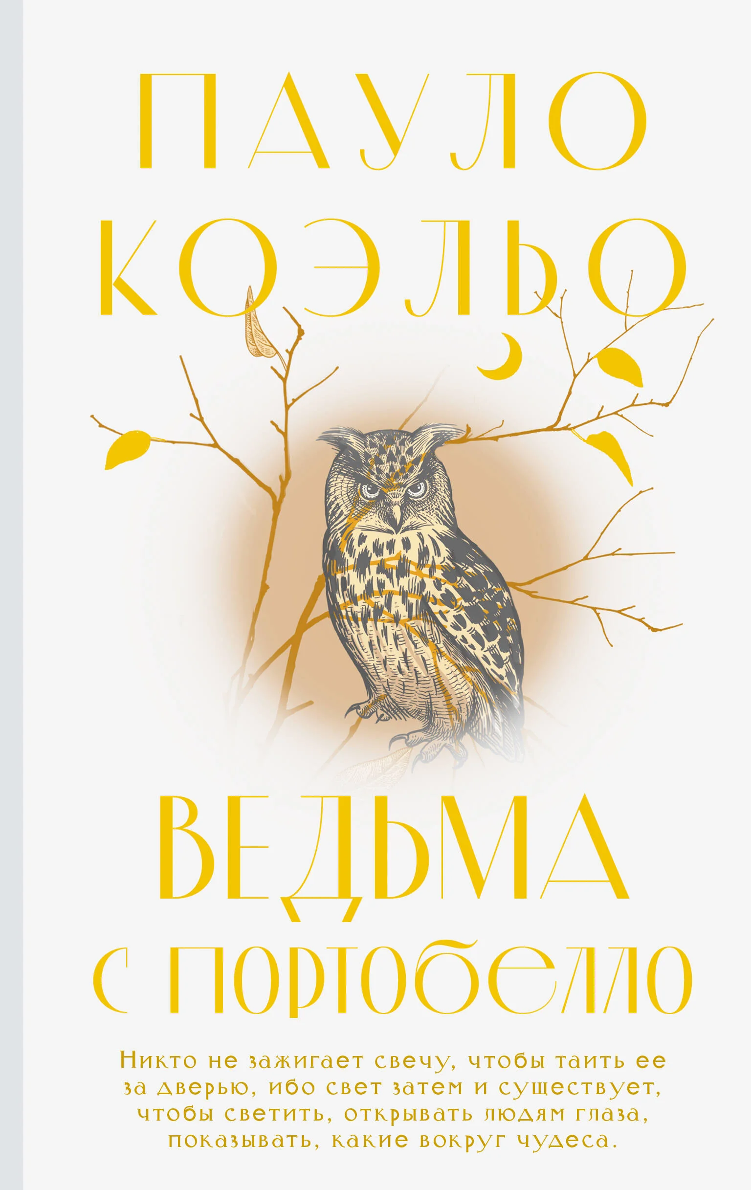 Обложка книги «Ведьма с Портобелло»