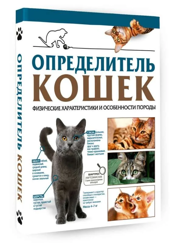 Обложка книги «Определитель кошек. Физические характеристики и особенности породы»
