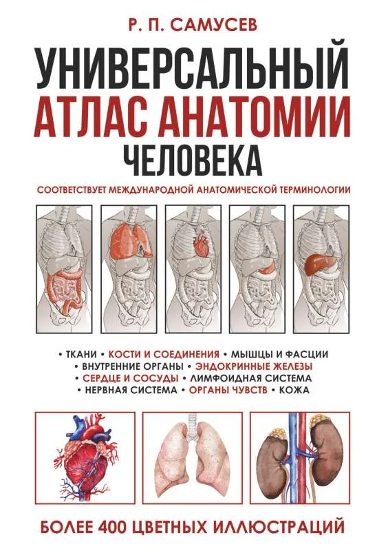 Обложка книги «Универсальный атлас анатомии человека с цветными иллюстрациями»