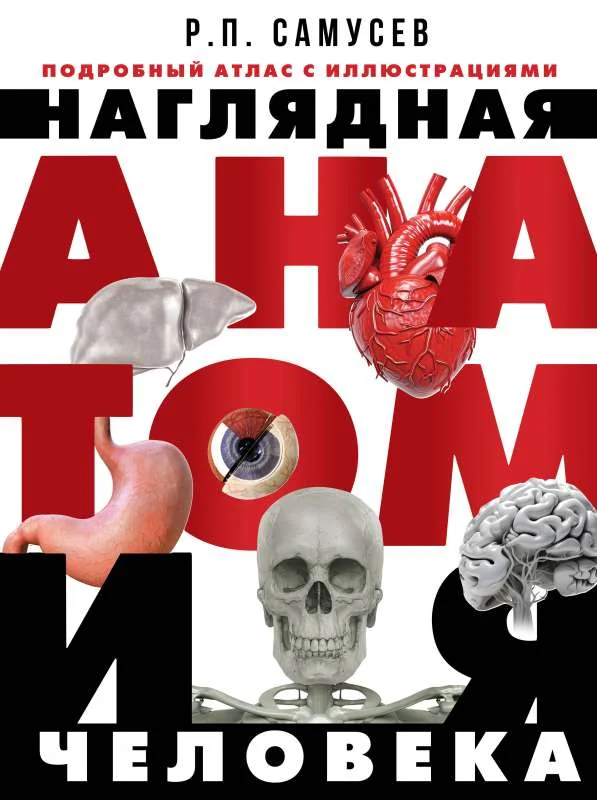 Обложка книги «Наглядная анатомия человека. Подробный атлас с иллюстрациями»
