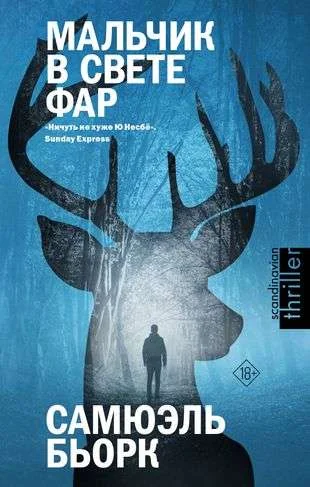 Обложка книги «Мальчик в свете фар»
