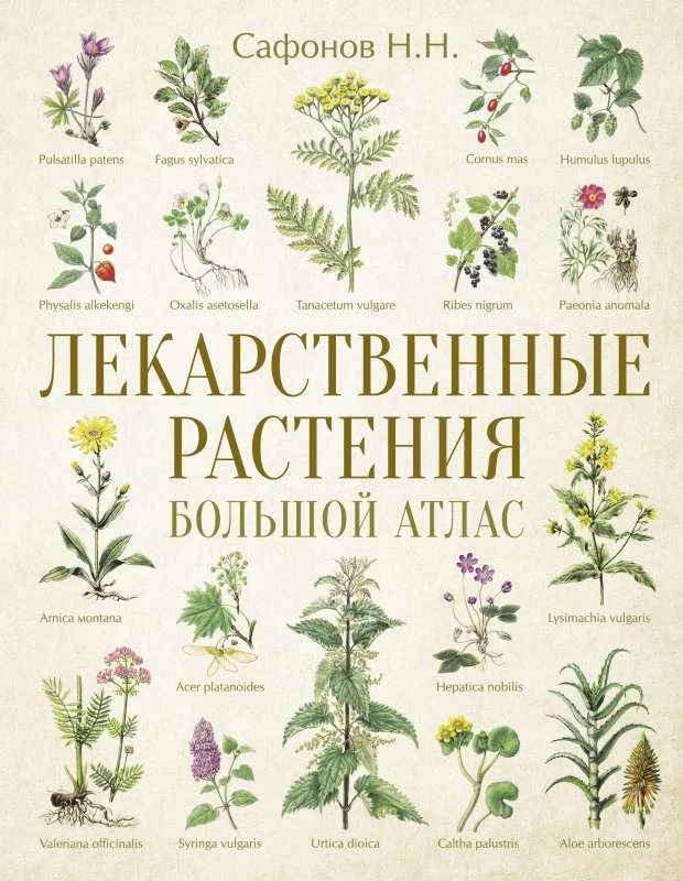 Обложка книги «Лекарственные растения. Большой атлас»