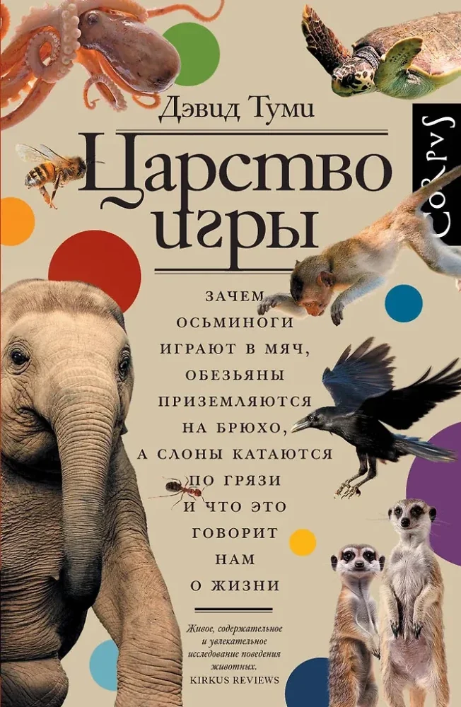 Обложка книги «Царство игры»