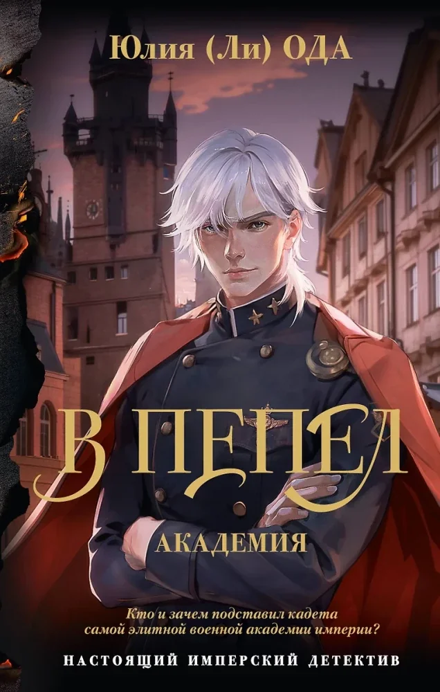 Обложка книги «В пепел. Академия»