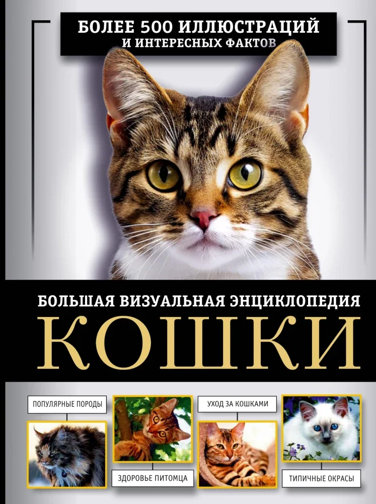 Обложка книги «Кошки. Большая визуальная энциклопедия»