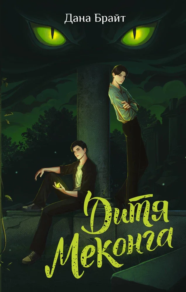 Обложка книги «Дитя Меконга»