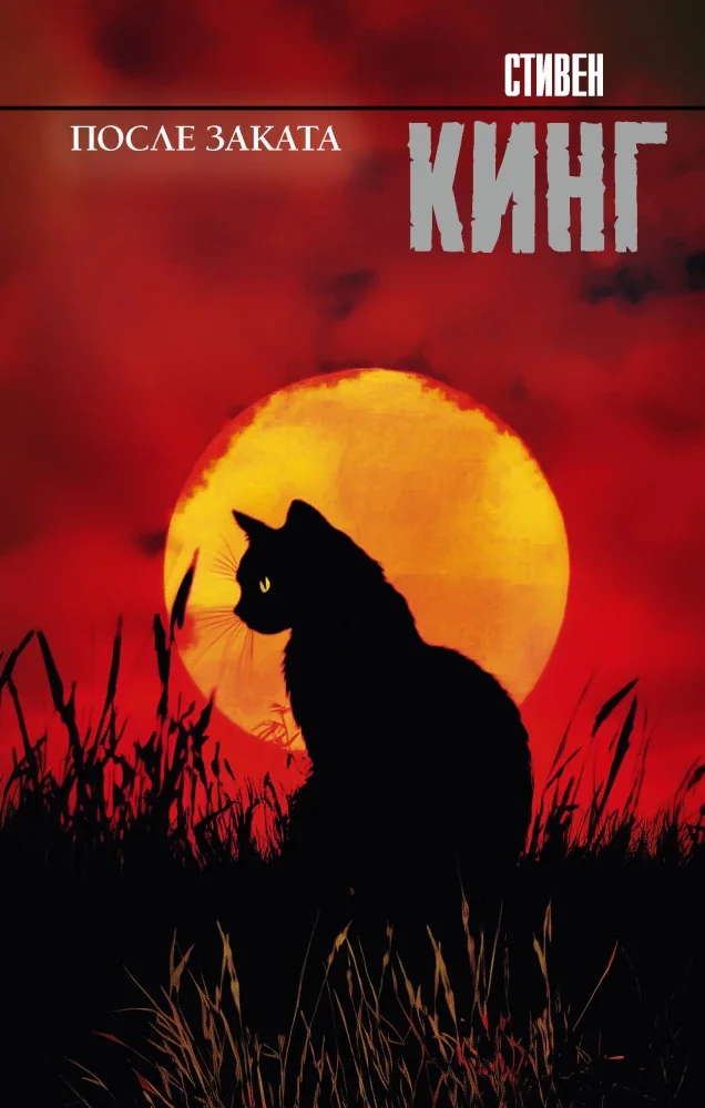Обложка книги «После заката»