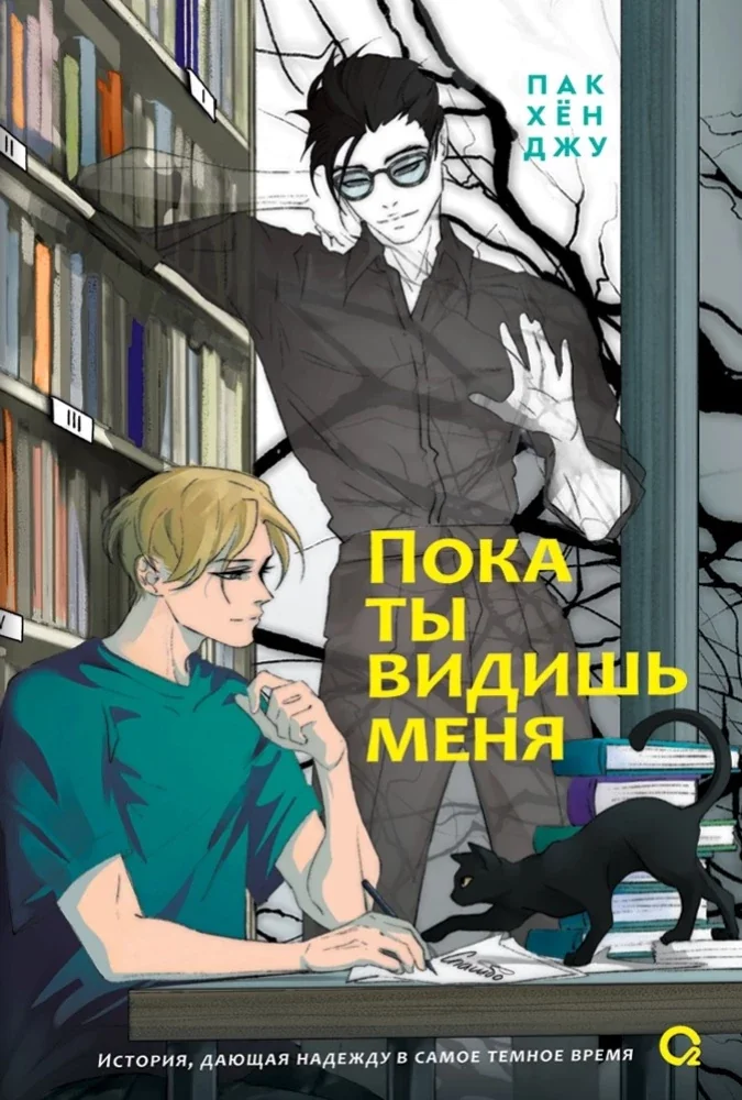 Обложка книги «Пока ты видишь меня»