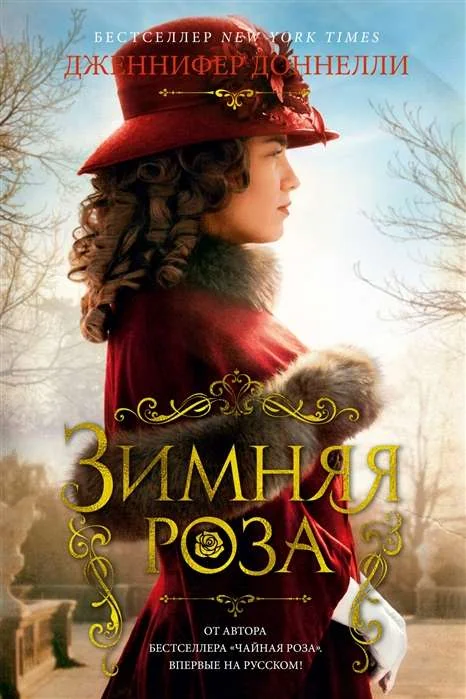 Обложка книги «Зимняя роза»