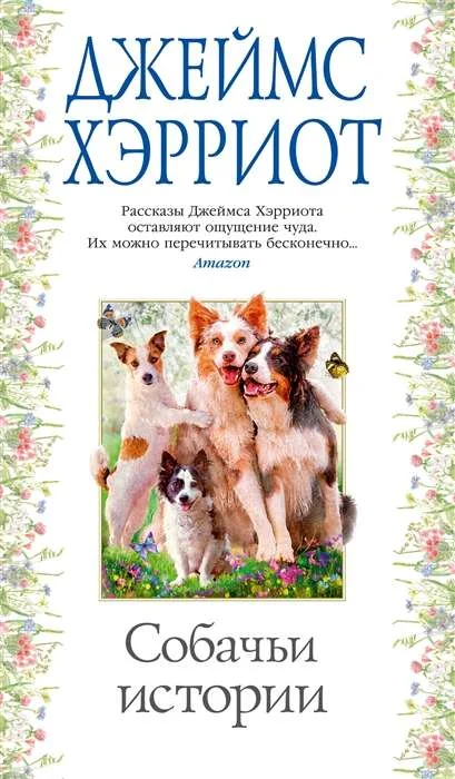 Обложка книги «Философические письма»