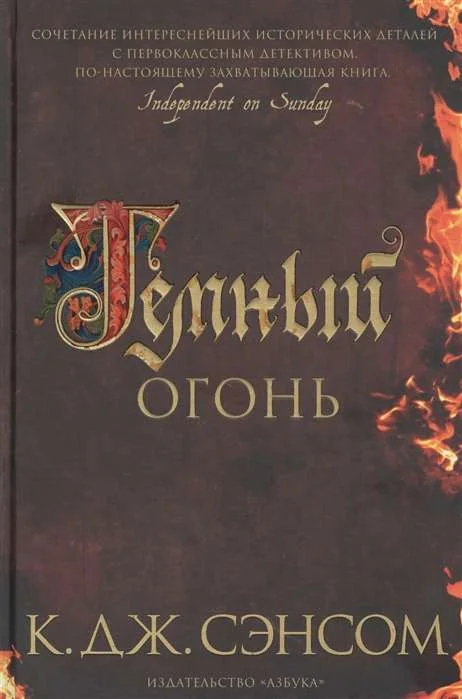 Обложка книги «Темный огонь»