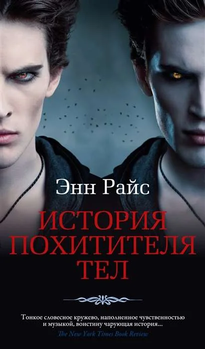 Обложка книги «История Похитителя»