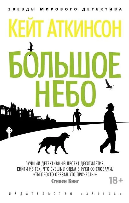 Обложка книги «Большое Небо»
