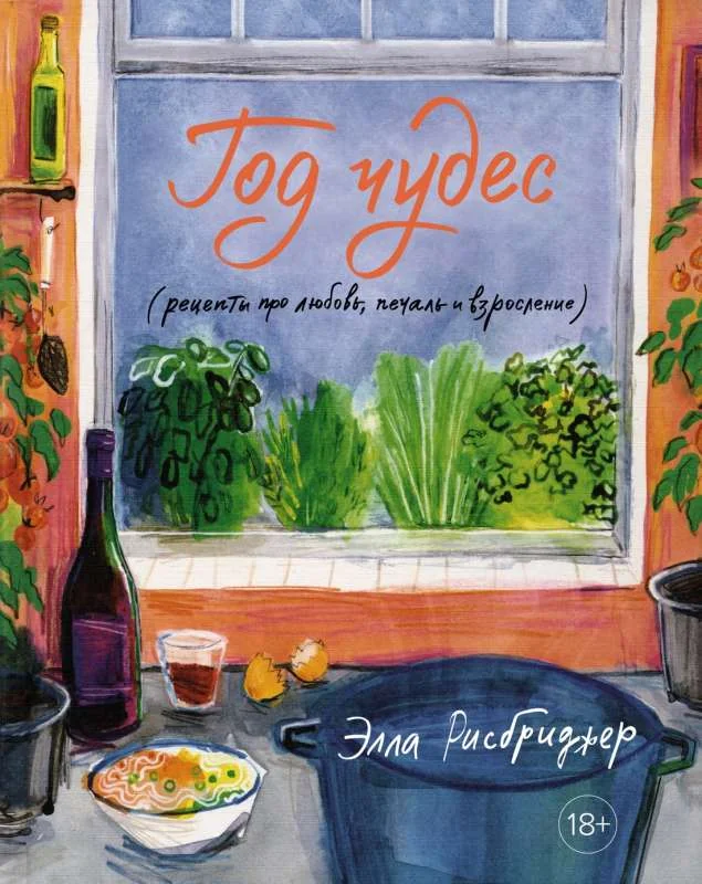 Обложка книги «Год чудес»