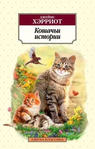Обложка книги «Кошачьи истории»