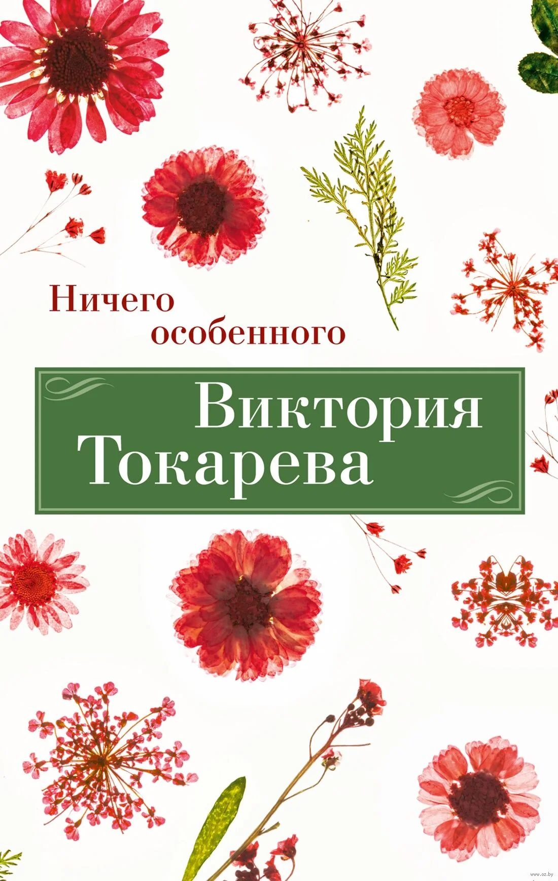 Обложка книги «Ничего особенного»