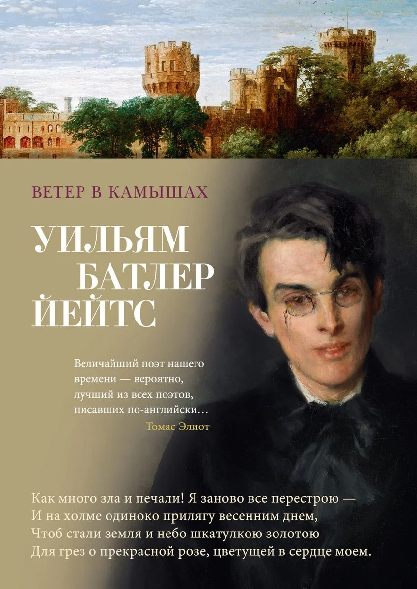 Обложка книги «Ветер в камышах»