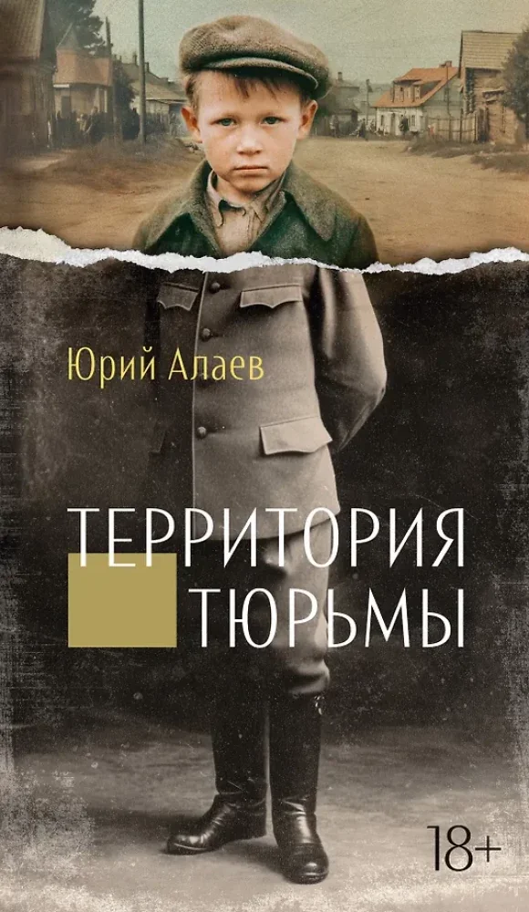 Обложка книги «Территория тюрьмы»