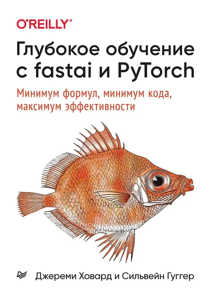 Обложка книги «Глубокое обучение с fastai и PyTorch: минимум формул, минимум кода, максимум эффективности»