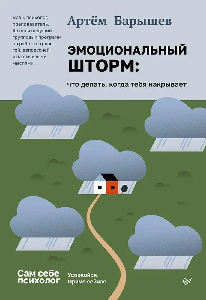 Обложка книги «Эмоциональный шторм: что делать, когда тебя накрывает. Успокойся. Прямо сейчас»