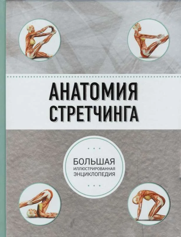 Обложка книги «Анатомия стретчинга. Большая иллюстрированная энциклопедия»