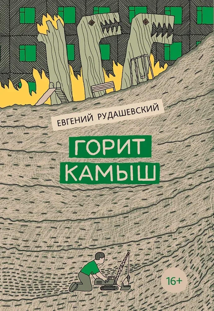 Обложка книги «Горит камыш»