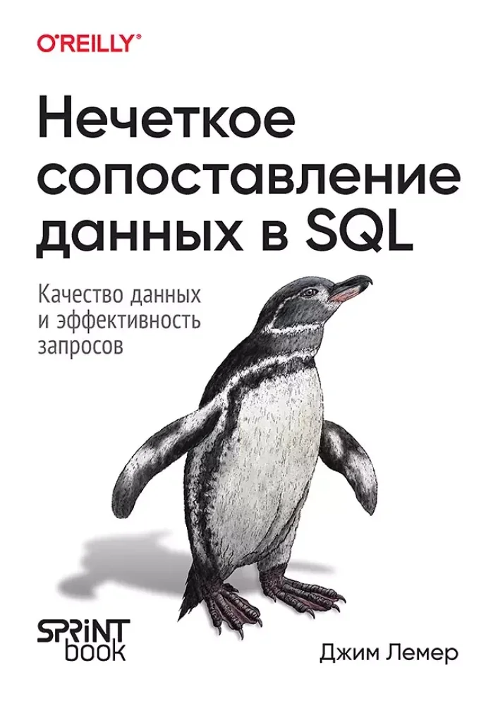 Обложка книги «Нечеткое сопоставление данных в SQL»