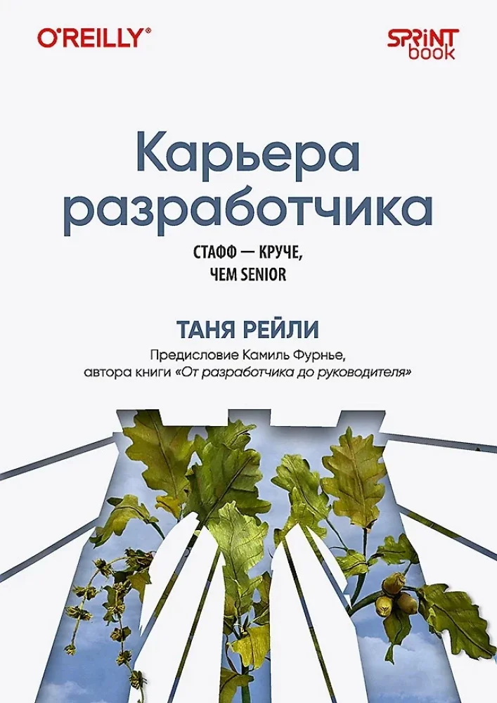 Обложка книги «Карьера разработчика. Стафф - круче, чем senior»